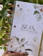 Kit discos - gold - Imagem 2